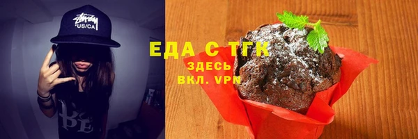 индика Покачи