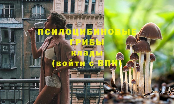 винт Абинск
