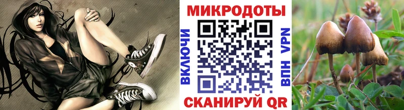 hydra ссылка  Дальнереченск  Псилоцибиновые грибы ЛСД 